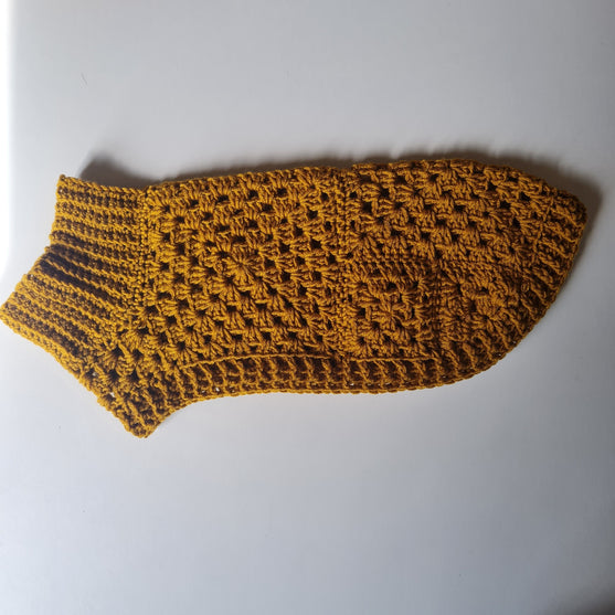 Wally – Koiran pusero
5