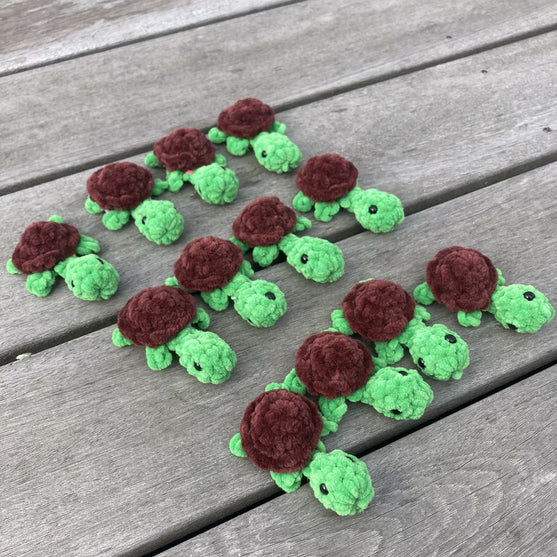 Rainbow Turtles - Muistipeli
12