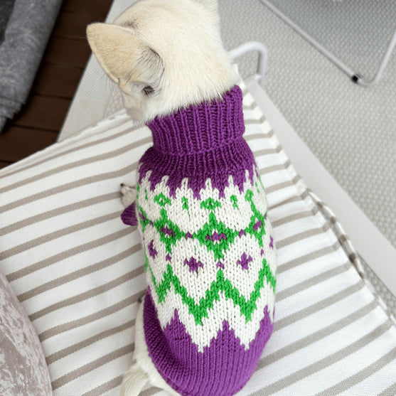 Chihuahua – Koiran neulepaita
2