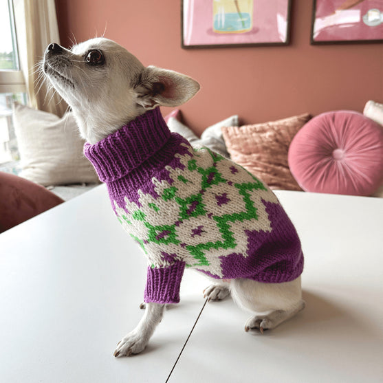 Chihuahua – Koiran neulepaita
3