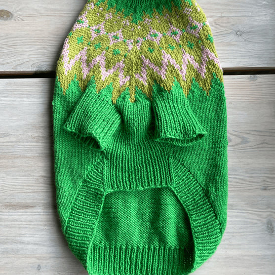 Cocker Spaniel – Koiran neulepaita
5