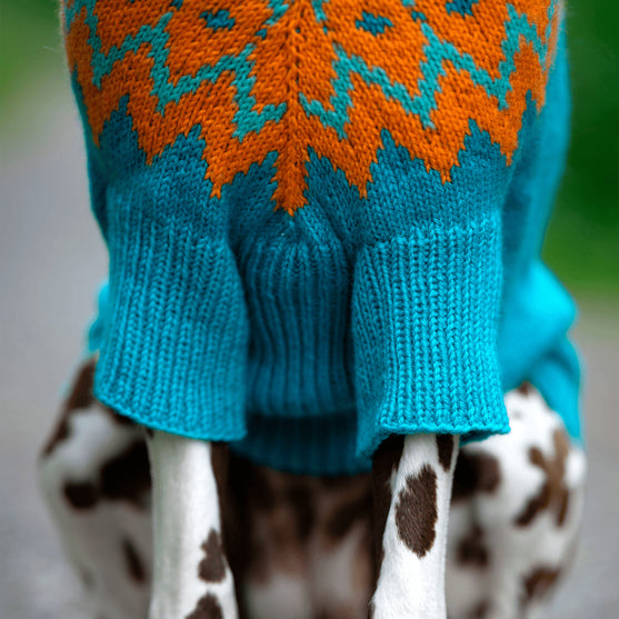 Dalmatialainen – Koiran neulepaita
4