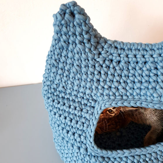 Kitty - Kissan kori
3