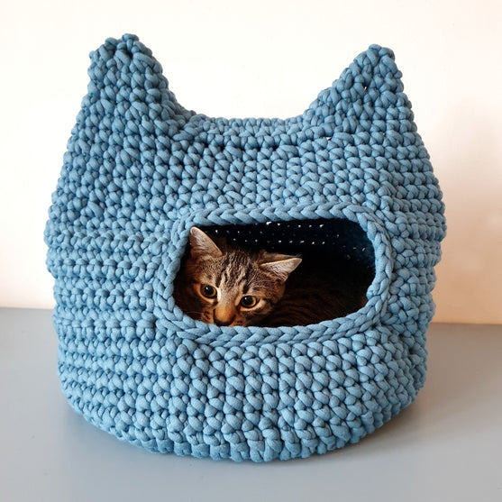 Kitty - Kissan kori
2