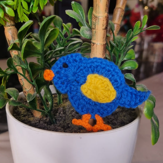 Pipite-lintu - Applikaatio
2