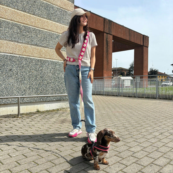 Lacy - Hands-free talutushihna
3