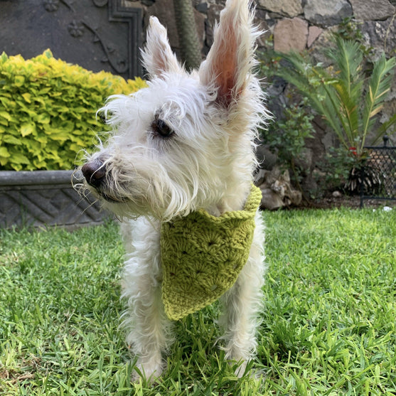 Cuddly Wrap - Koiran Bandana
4