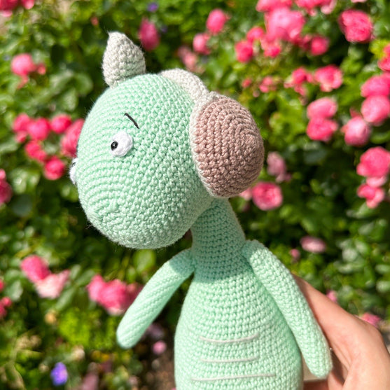 Safi-Dino
4