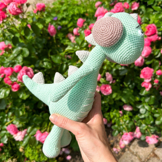 Safi-Dino
5