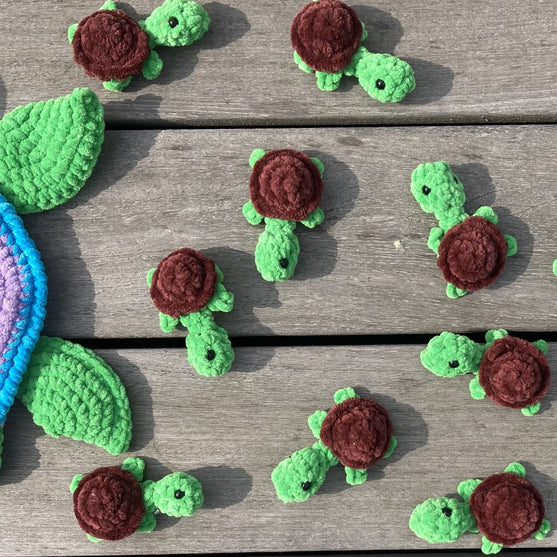 Rainbow Turtles - Muistipeli
8