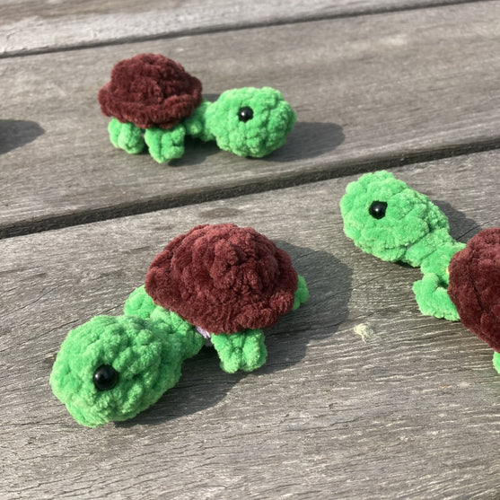 Rainbow Turtles - Muistipeli
11