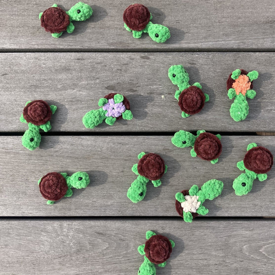 Rainbow Turtles - Muistipeli
9