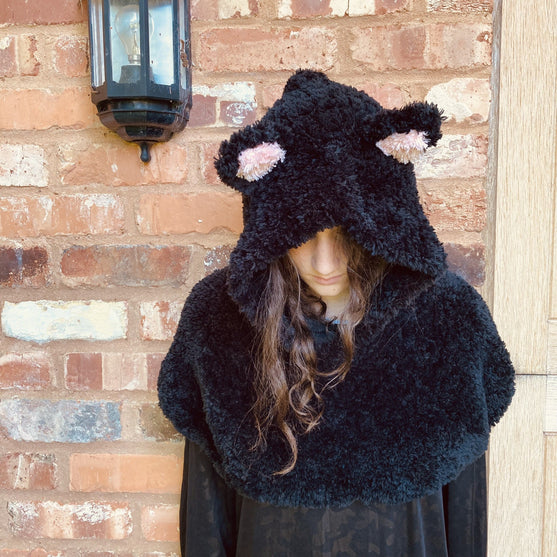 Hooded Cat - Viitta
2