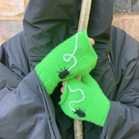 Spider - Kämmekkäät
3