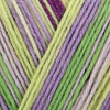 

Regia 4-ply Stripes - Regia
4