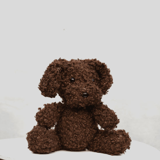 

Cavapoo - Pehmolelu
1