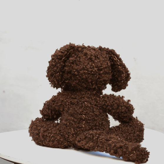 

Cavapoo - Pehmolelu
2