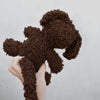 

Cavapoo - Pehmolelu
5