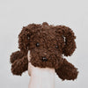 

Cavapoo - Pehmolelu
6