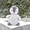 

Pippo-Pingviini
1