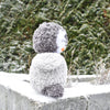 

Pippo-Pingviini
3