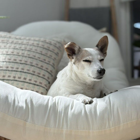 

Homebody - Tyynyliina
6