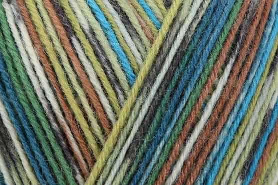 

Regia 4-ply - Regia
6