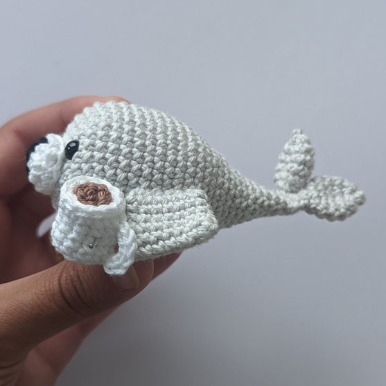 

Charlie - Kaakaosta Nauttiva Hylje
2